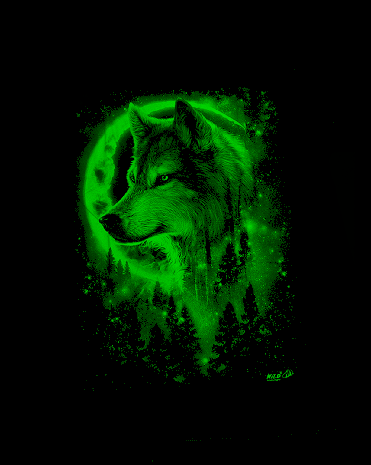 Wolf bei Nacht