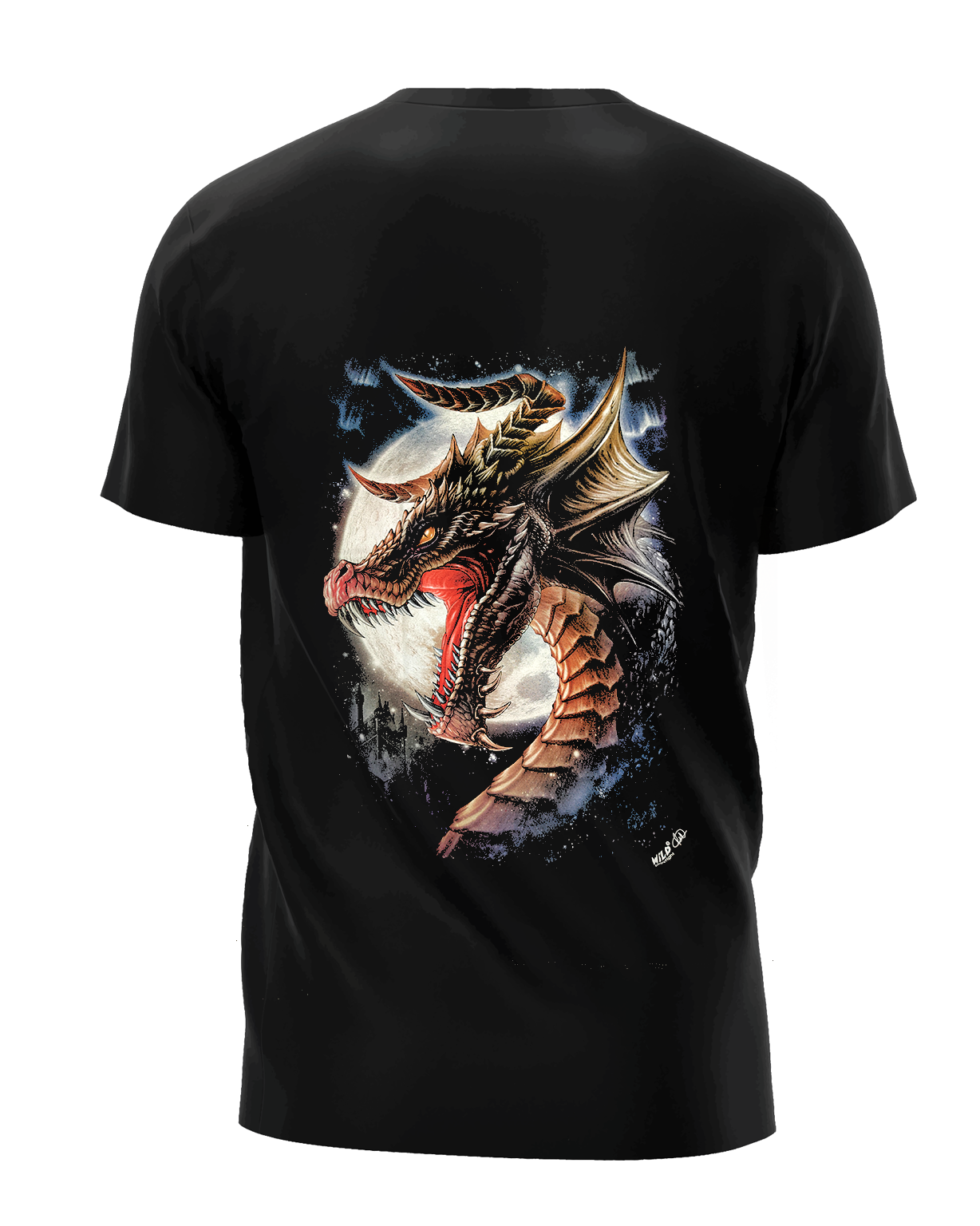 Drache mit Schwert