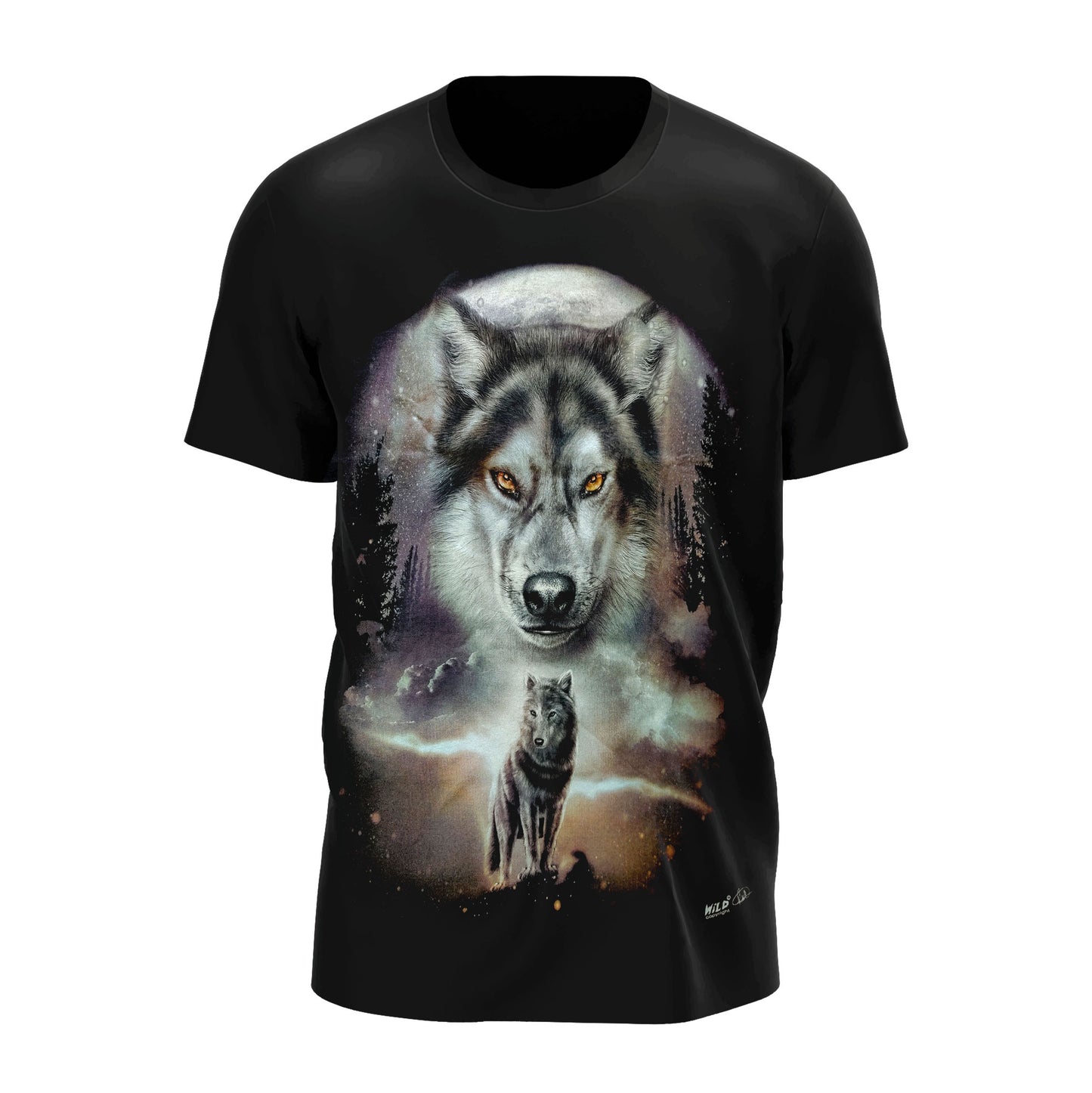 Zweit Wölfe bei Nacht